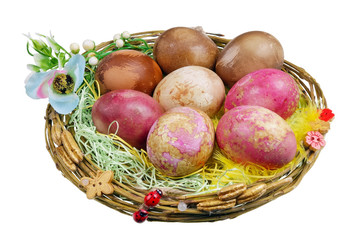 Handmade Easter nest with rural chicken bio eggs which are painted with natural dyes - beet, cabbage, onion isolated