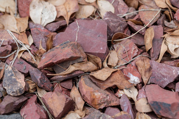 Last year's fallen leaves of a barberry lie dense "carpet" on crushed stone from a stone of red color. Ready photo background.