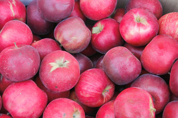 Apples