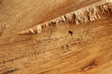 Naklejka premium Lumber