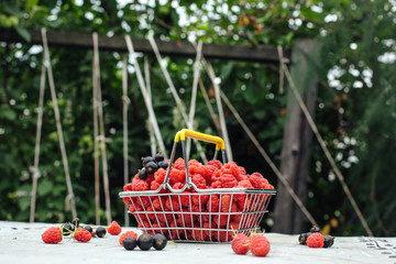 Mini shopping basket full of fresh red ripe raspberry and blackberry on vintage background