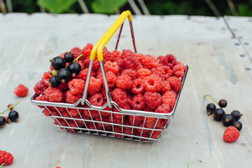 Mini shopping basket full of fresh red ripe raspberry and blackberry on vintage background