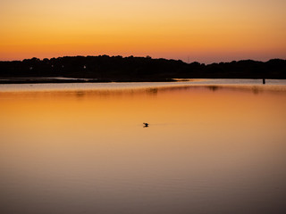 Amazing landscape of the beautiful salt flats during the sunset at Colonia de Sant Jordi, Ses Salines, Mallorca, Spain