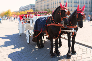 Pferdekutsche auf dem Pariser Platz am Brandenburger Tor ( Brandenburg Gate) in Berlin, Germany © stylefoto24