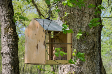 Handmade wooden bird feeder hanging on the tree