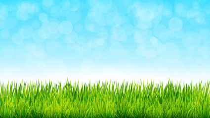 Fototapeta na wymiar Nature background with green grass and blue sky. Vector illustration