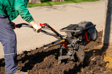 A worker digs the ground in a park around a tree using landscape gardening equipment.  Spring cleaning work in the park area.