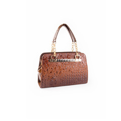 bag or women bag with concept on background.