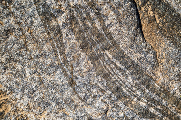 Gray granite texture. The texture of the stone.