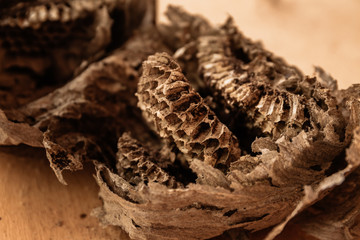 Empty destroyed hornets nest, danger of living on the roof