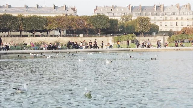 Grand Bassin Octogonal, Tuileries Garden (French: Jardin des Tuileries) Paris, France. 