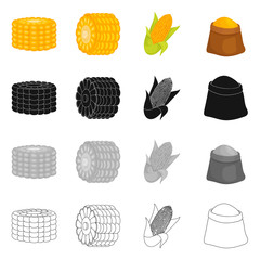 Isolated object of cornfield and vegetable symbol. Collection of cornfield and vegetarian vector icon for stock.