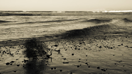 Sea surf in black and white