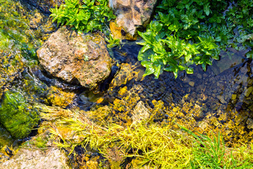Clean spring water on the background of stones