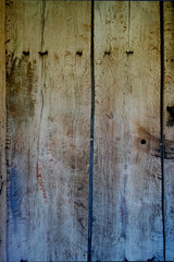 Background texture of tree , oak.Old wooden board.
