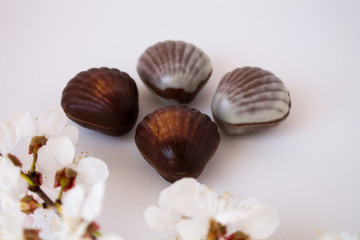 Chocolate candies in the shape of shells lie on the table. Chocolate shells of different shapes.