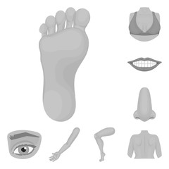 Isolated object of body and part icon. Collection of body and anatomy stock symbol for web.