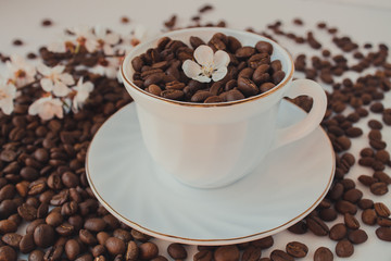  A white cup and saucer filled with coffee beans. On a white background coffee beans
