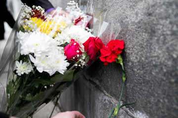 Red carnations flowers seen on the memorial stone