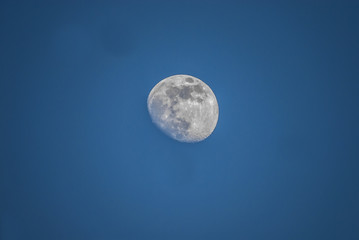 Naklejka na ściany i meble moon in the sky during the day