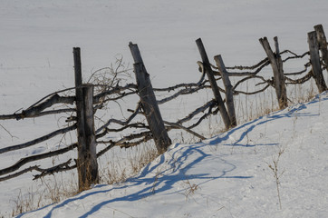 panorama of the winter landscape in central siberia