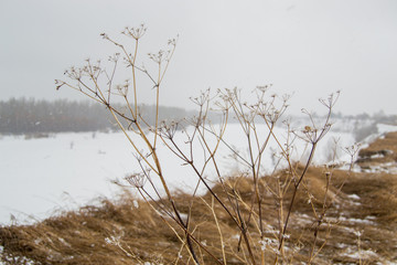 spring landscape in Siberia on the river