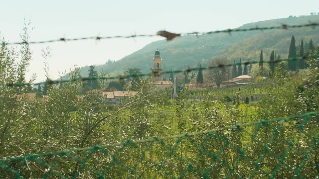 Chiesa Di Quinto di Valpantena in Provincia di Verona (Veneto) italy.
Church in Quinto Di Valpantena verona italy. close to the farm lands and the cemetery