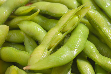 枝豆-5