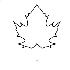 Maple leaf, canada, maple syrup, autumn leaf fall, logo or icon, outline isolated on white background.