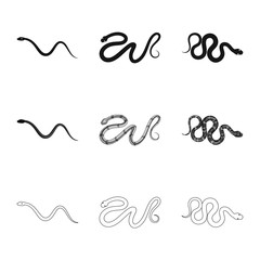 Vector illustration of mammal and danger symbol. Set of mammal and medicine stock symbol for web.