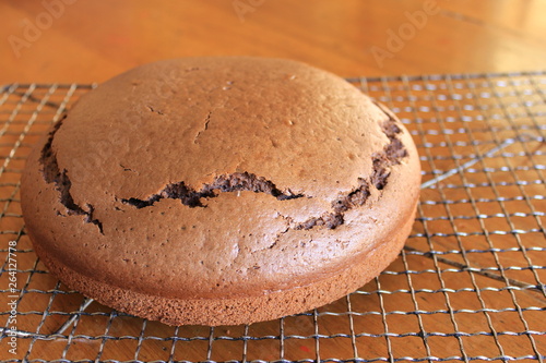 Fresh Baked Chocolate Cake with no icing