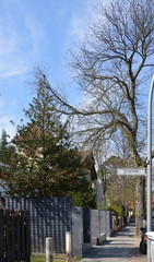 Grunewald, Wilmersdorf, Berlin