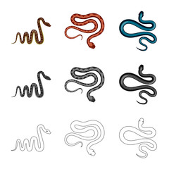 Fototapeta premium Vector design of mammal and danger logo. Set of mammal and medicine vector icon for stock.