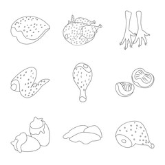 Vector illustration of food and grilled logo. Collection of food and bird  vector icon for stock.