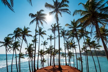 Abwaschbare Fototapete Blauer Himmel Kokosnussbaumhügel in Mirissa Sri Lanka