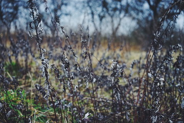 Processed with VSCO with f2 preset