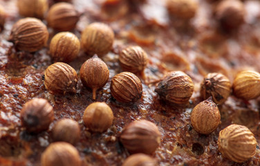 Sesame rye bread as a background