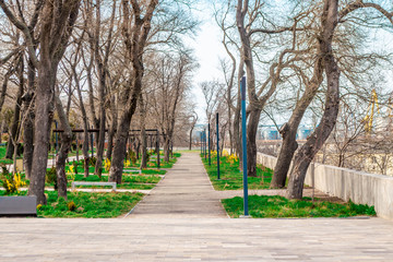 Park path