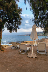 chaise lounges and umbrellas in the shade of trees on the beach against the background of the blue sea