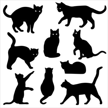 Cats silhouette vector set