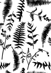black fern leaves silhouettes seamless background