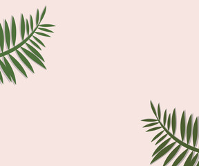 Naklejka na ściany i meble Palm Leaf on Pink Background
