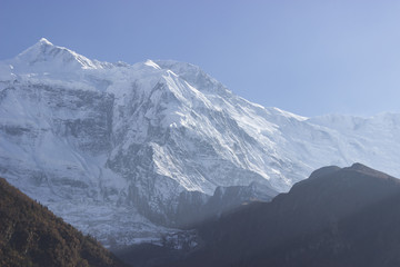 snow-capped mountain peaks against the background of a coniferous forest landscape