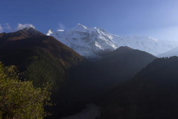 snow-capped mountain peaks against the background of a coniferous forest landscape