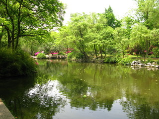 Fototapeta na wymiar Humble Administrator's Garden, Suzhou, China