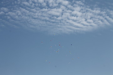 flock of birds flying in blue sky with clouds