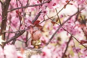 Piglet dolls in flowers