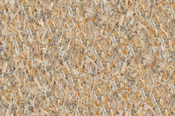 Seamless texture of pressed wood chips. Floor and wall paneling. Oriented strand board