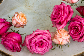 floral arrangement of pink roses in the basin of an old stone fountain