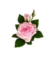 Pink rose flowers with green leaves in a floral  arrangement